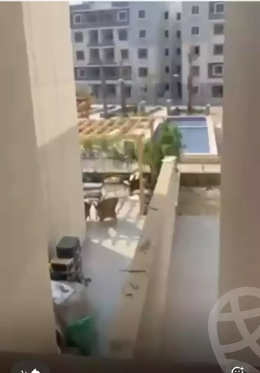 https://aqarmap.com.eg/en/listing/6384252-for-rent-cairo-new-cairo-compounds-kmbwnd-lk-ls-wdy-lmryky