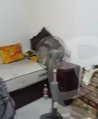 https://aqarmap.com.eg/en/listing/6390821-for-rent-dakahlia-mansoura