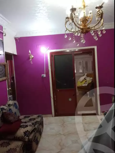 https://aqarmap.com.eg/en/listing/6401147-for-sale-sharqia-zagazig