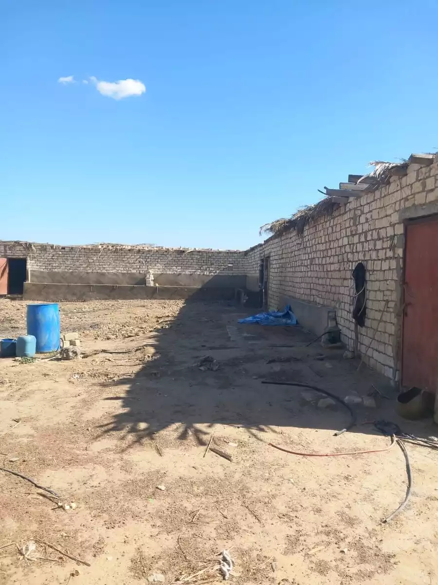 https://aqarmap.com.eg/ar/listing/6401761-for-sale-beheira-wadi-el-natrun