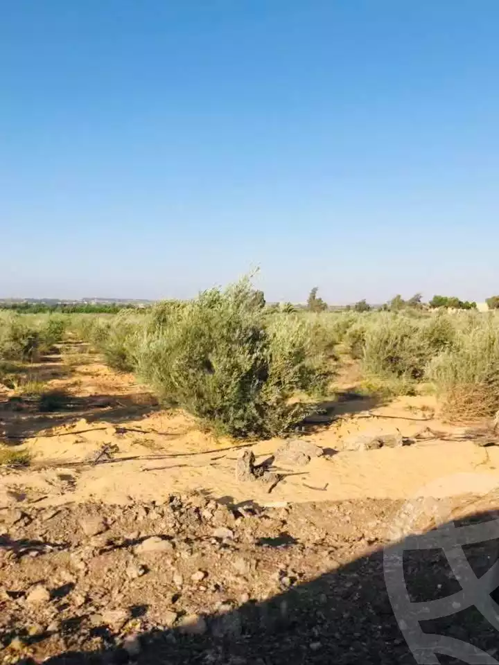 https://aqarmap.com.eg/en/listing/6427168-for-sale-beheira-wadi-el-natrun