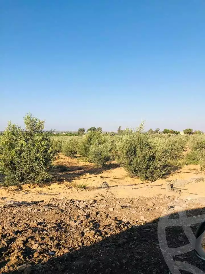 https://aqarmap.com.eg/en/listing/6427168-for-sale-beheira-wadi-el-natrun