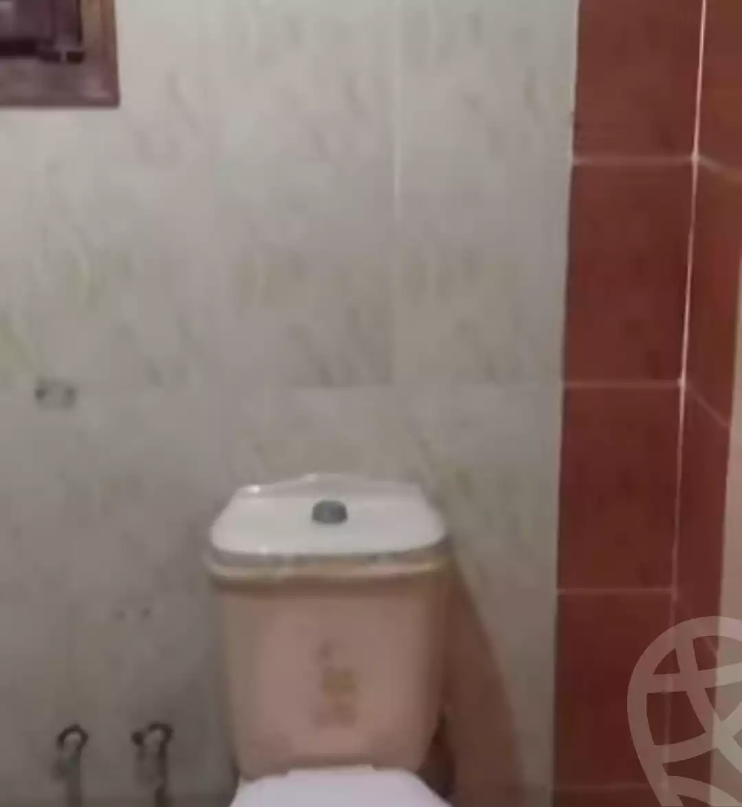 https://aqarmap.com.eg/en/listing/6427878-for-sale-cairo-ain-shams-ahmed-esmat-st