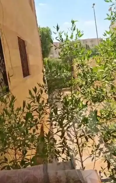 https://aqarmap.com.eg/en/listing/6461449-for-sale-cairo-al-oubour-el-hay-el-taseaa-nour-el-hoda-st