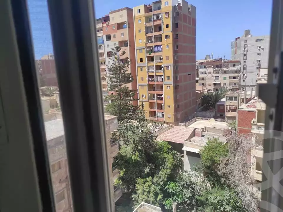 https://aqarmap.com.eg/en/listing/6461940-for-sale-alexandria-l-jmy-lbytsh-kafr-el-agamy-st