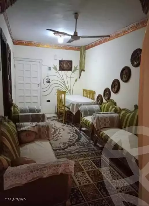 https://aqarmap.com.eg/en/listing/6463893-for-rent-alexandria-lskndry-ljdyd