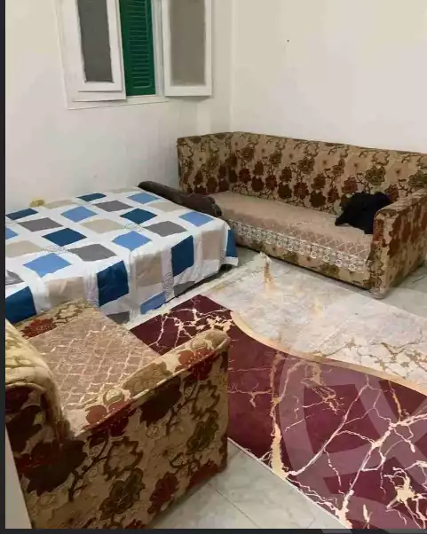 https://aqarmap.com.eg/en/listing/6471662-for-rent-sharqia-zagazig