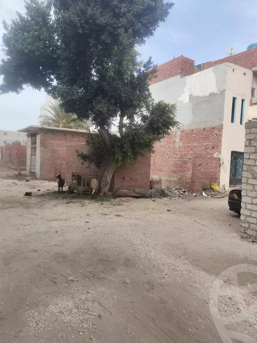 https://aqarmap.com.eg/en/listing/6472005-for-sale-dakahlia-el-mansoura-gamasa-road
