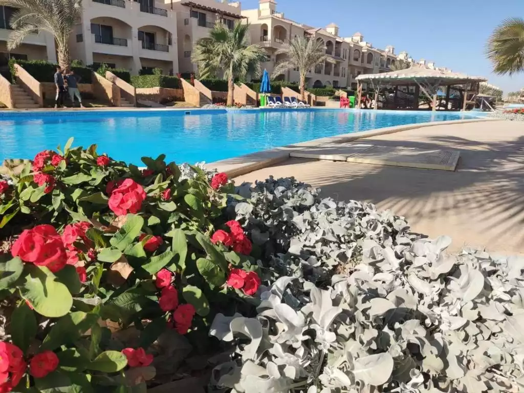 https://aqarmap.com.eg/en/listing/6473787-for-sale-ain-elsokhna-resorts-lsyryn-blm-bytsh