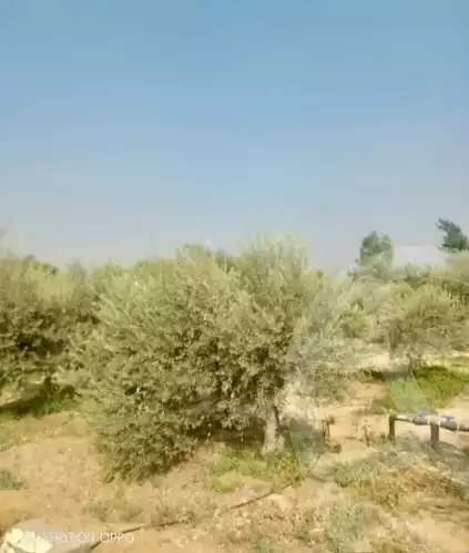 https://aqarmap.com.eg/en/listing/6474902-for-sale-beheira-wadi-el-natrun