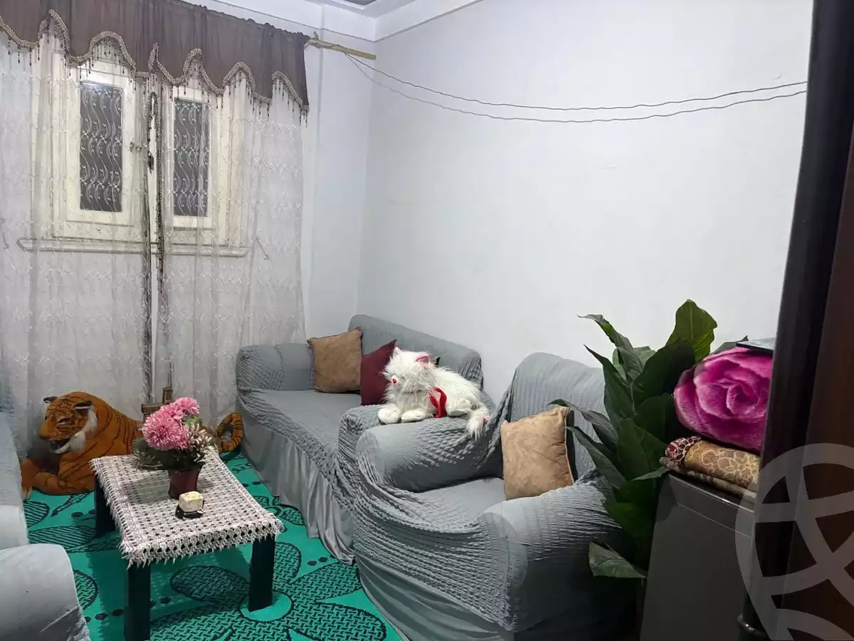 https://aqarmap.com.eg/ar/listing/6481557-for-sale-alexandria-el-dekhela