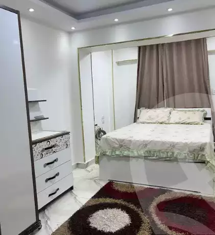 https://aqarmap.com.eg/en/listing/6486264-for-rent-cairo-nasr-city-hassan-el-mamoon