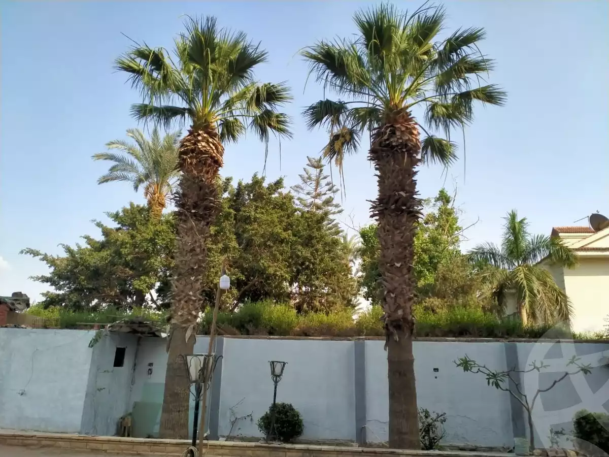 https://aqarmap.com.eg/en/listing/6497191-for-sale-cairo-el-mansuriyyah-el-saliba