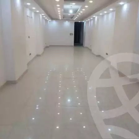 https://aqarmap.com.eg/en/listing/6518600-for-rent-alexandria-ganaklis