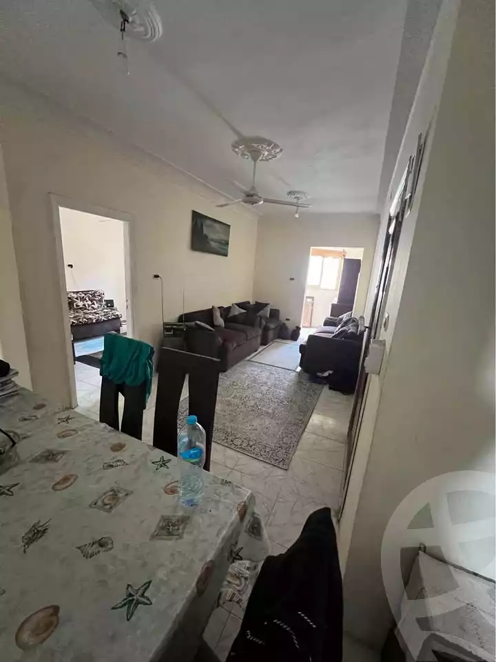 https://aqarmap.com.eg/ar/listing/6524012-for-sale-alexandria-l-jmy-lbytsh-al-samalehy-2-st
