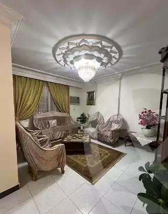 https://aqarmap.com.eg/en/listing/6525751-for-sale-cairo-faisal-el-lebeny