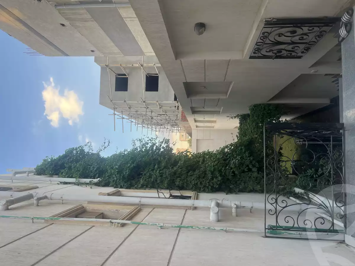 https://aqarmap.com.eg/ar/listing/6530582-for-sale-cairo-new-cairo-tamr-hena-tamr-hena-1