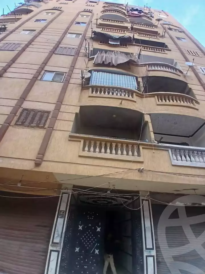 https://aqarmap.com.eg/en/listing/6546451-for-sale-alexandria-l-jmy-lbytsh-mohamed-el-fardi-st