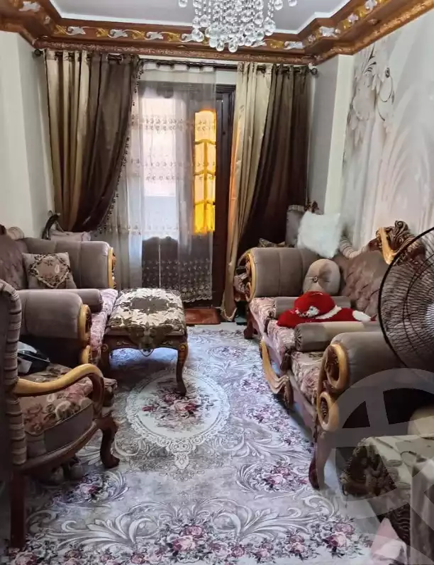 https://aqarmap.com.eg/en/listing/6549583-for-sale-alexandria-l-jmy-lbytsh-ain-shams-st