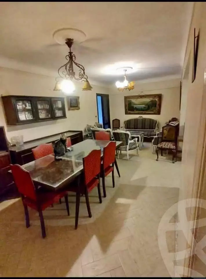 https://aqarmap.com.eg/ar/listing/6559169-for-sale-alexandria-ganaklis