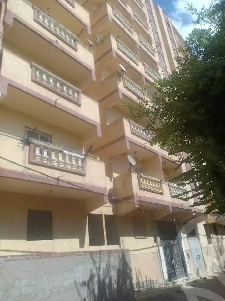 https://aqarmap.com.eg/en/listing/6559423-for-rent-alexandria-l-jmy-lbytsh-shahr-al-assal-st