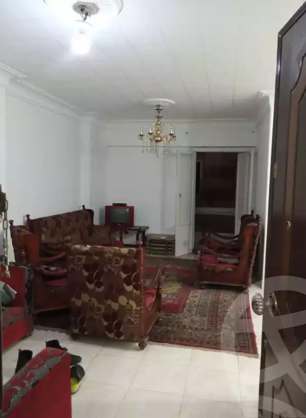 https://aqarmap.com.eg/en/listing/6562880-for-sale-alexandria-ganaklis