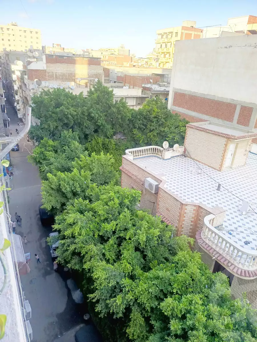 https://aqarmap.com.eg/ar/listing/6566252-for-sale-alexandria-l-jmy-el-hanouvel