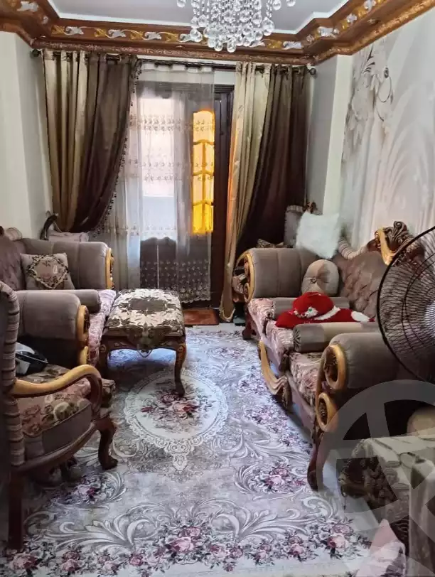 https://aqarmap.com.eg/en/listing/6571717-for-sale-alexandria-l-jmy-lbytsh-ain-shams-st