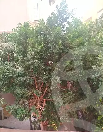 https://aqarmap.com.eg/en/listing/6576103-for-sale-cairo-el-shorouk