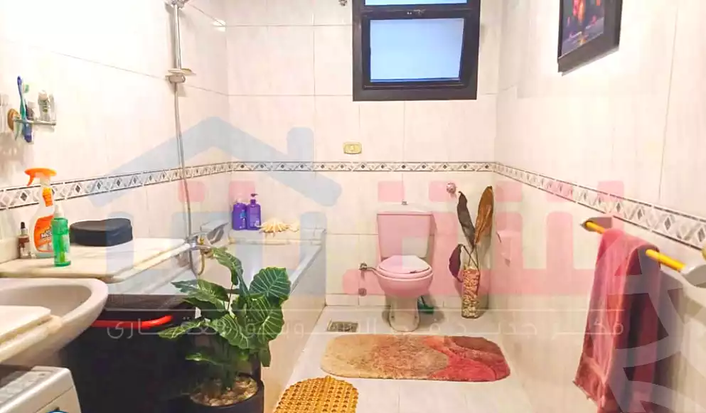 https://aqarmap.com.eg/ar/listing/6588577-for-sale-alexandria-smouha