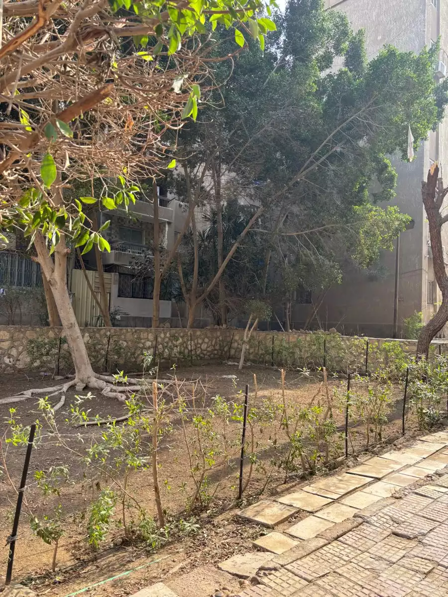 https://aqarmap.com.eg/en/listing/6590536-for-sale-cairo-nasr-city-zahraa-nasr-city