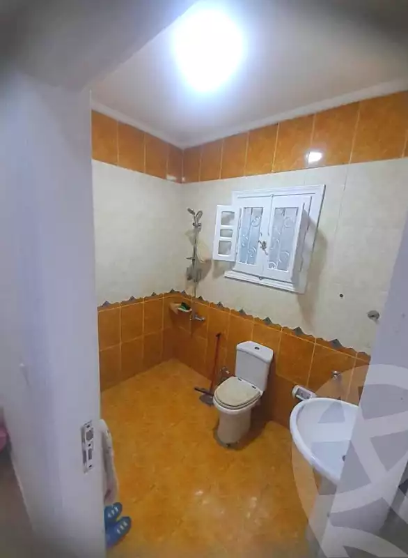 https://aqarmap.com.eg/ar/listing/6594329-for-sale-alexandria-l-jmy-lbytsh-al-samalehy-2-st