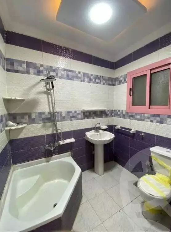 https://aqarmap.com.eg/ar/listing/6612885-for-sale-alexandria-l-jmy-lbytsh-el-reyad-st
