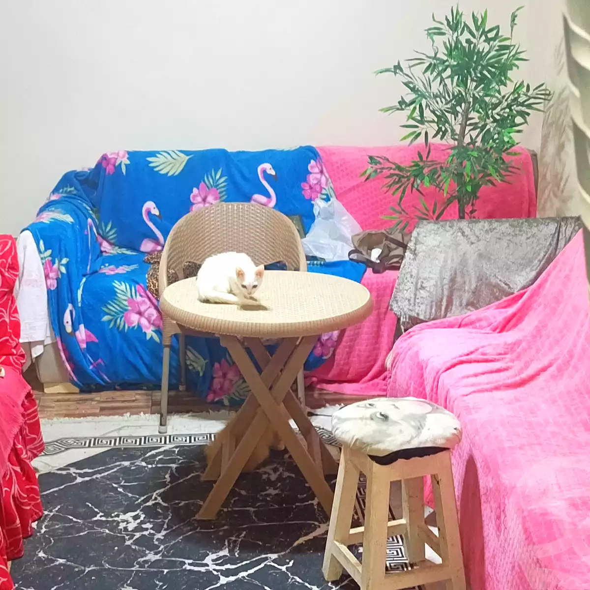https://aqarmap.com.eg/ar/listing/6617102-for-sale-alexandria-bahray-el-anfoshy