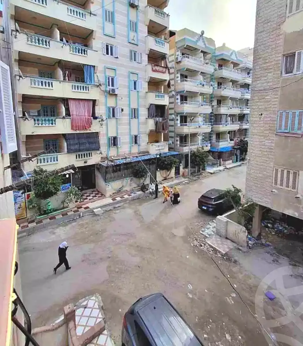 https://aqarmap.com.eg/en/listing/6619740-for-sale-alexandria-l-jmy-shataa-el-nakheel