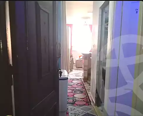 https://aqarmap.com.eg/en/listing/6625091-for-sale-alexandria-l-jmy-el-hanouvel