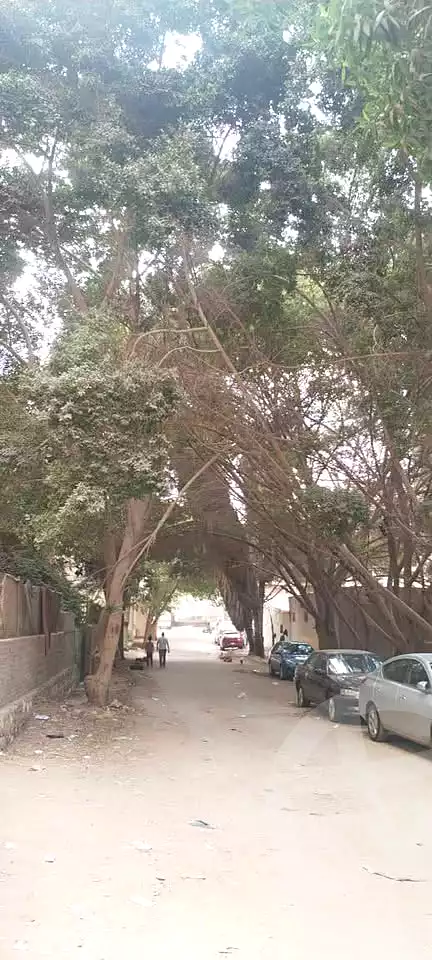 https://aqarmap.com.eg/ar/listing/6627103-for-sale-cairo-faisal-el-maryotyah