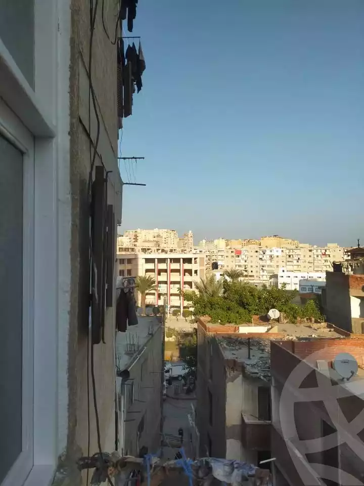 https://aqarmap.com.eg/en/listing/6627454-for-sale-alexandria-el-mandara-nabawy-al-mohandes-st
