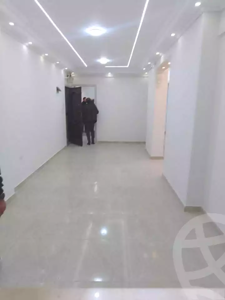 https://aqarmap.com.eg/en/listing/6638356-for-rent-alexandria-lsywf