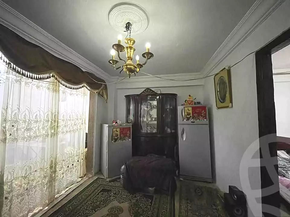 https://aqarmap.com.eg/en/listing/6641834-for-sale-alexandria-fyktwry-hasan-hamada-st