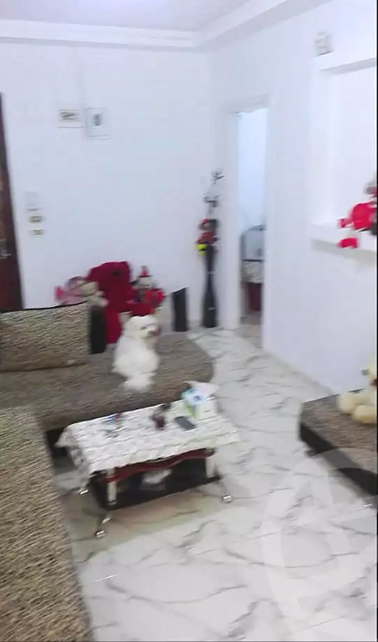 https://aqarmap.com.eg/en/listing/6645706-for-sale-alexandria-l-jmy-lbytsh-el-hanafeya-st