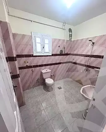 https://aqarmap.com.eg/ar/listing/6647769-for-rent-dakahlia-mansoura-met-khmes