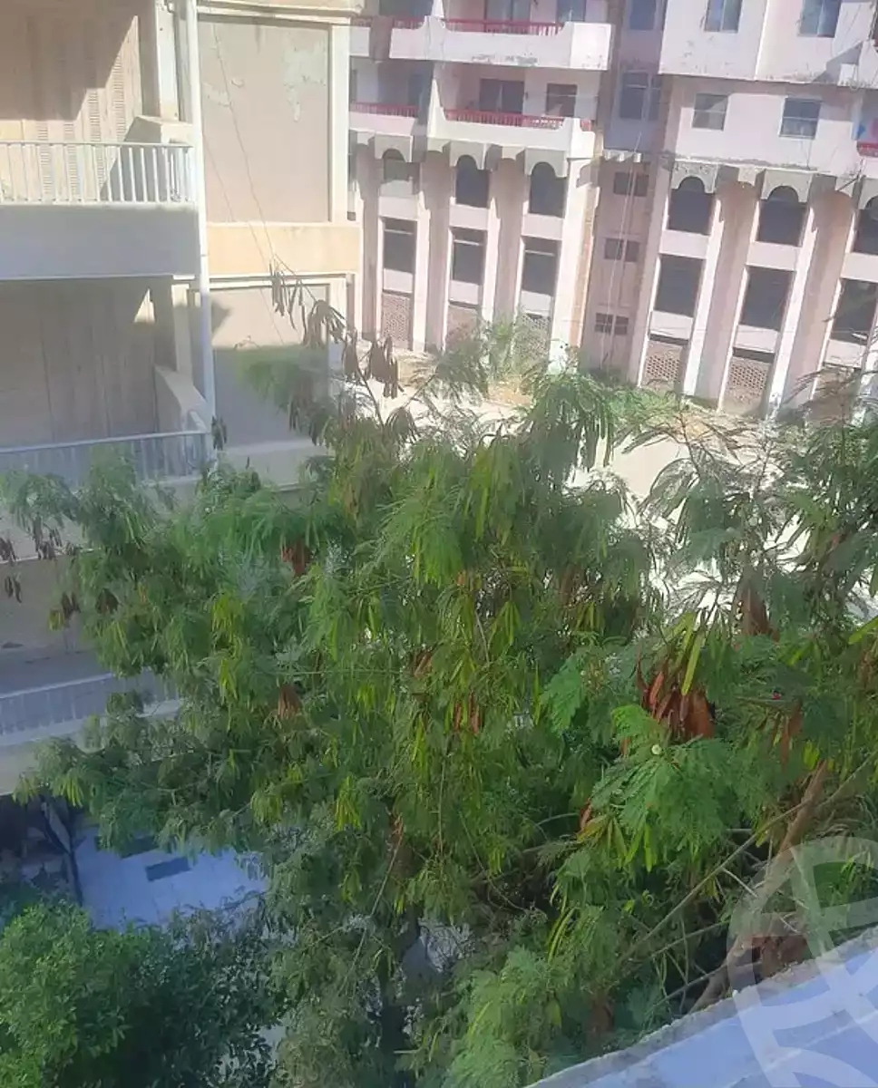 https://aqarmap.com.eg/ar/listing/6647862-for-sale-alexandria-l-jmy-shataa-el-nakheel