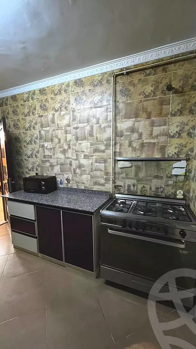https://aqarmap.com.eg/en/listing/6649715-for-rent-cairo-manial-manial-st