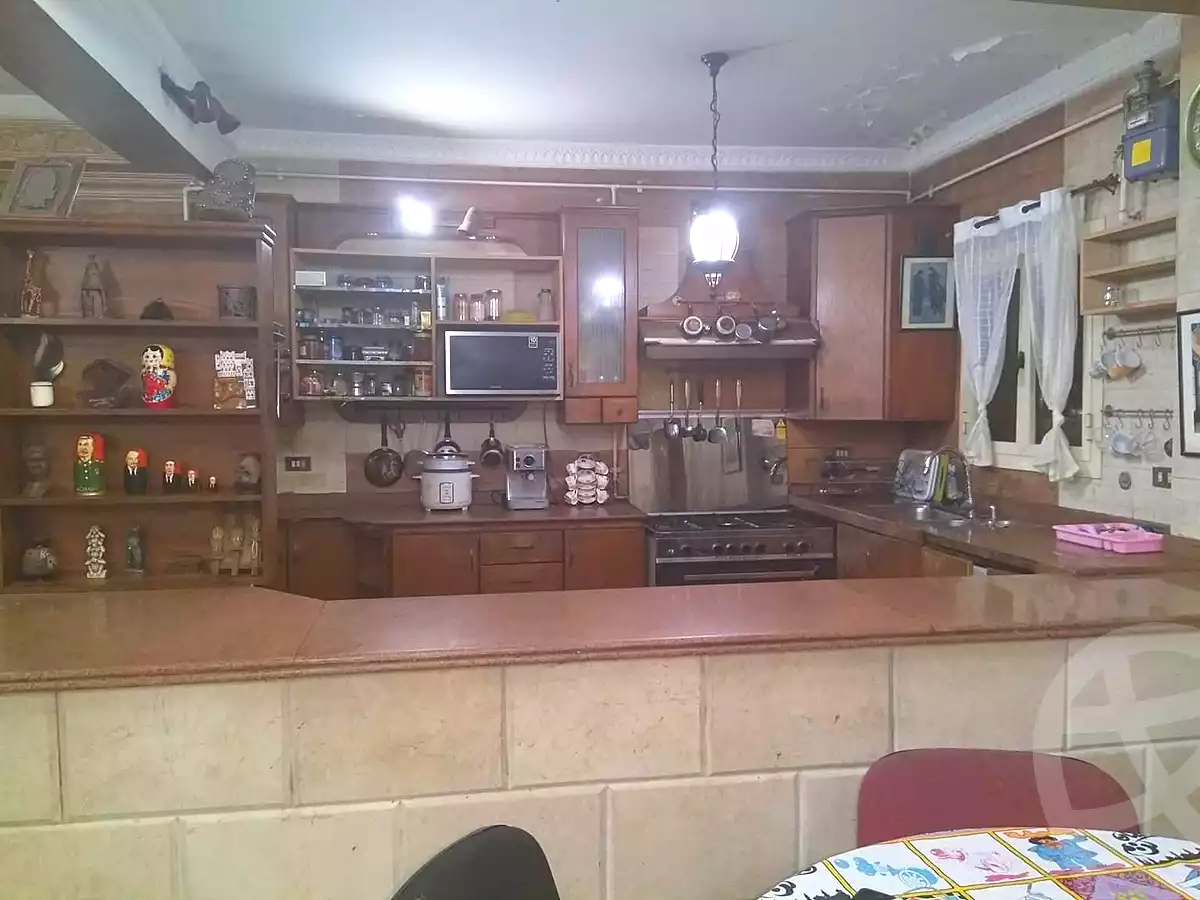 https://aqarmap.com.eg/en/listing/6650163-for-rent-cairo-new-cairo-el-choueifat-al-shouyfat-st