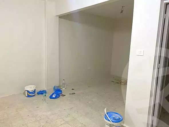 https://aqarmap.com.eg/en/listing/6652964-for-rent-alexandria-ganaklis