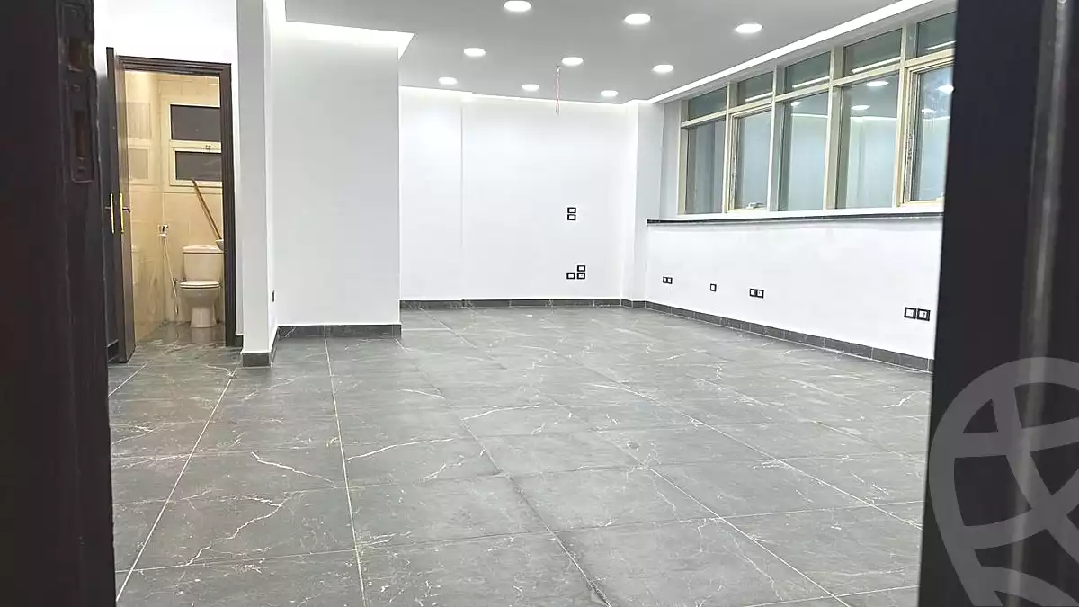 https://aqarmap.com.eg/en/listing/6654578-for-rent-cairo-new-cairo-90th-street-northern-90th-street