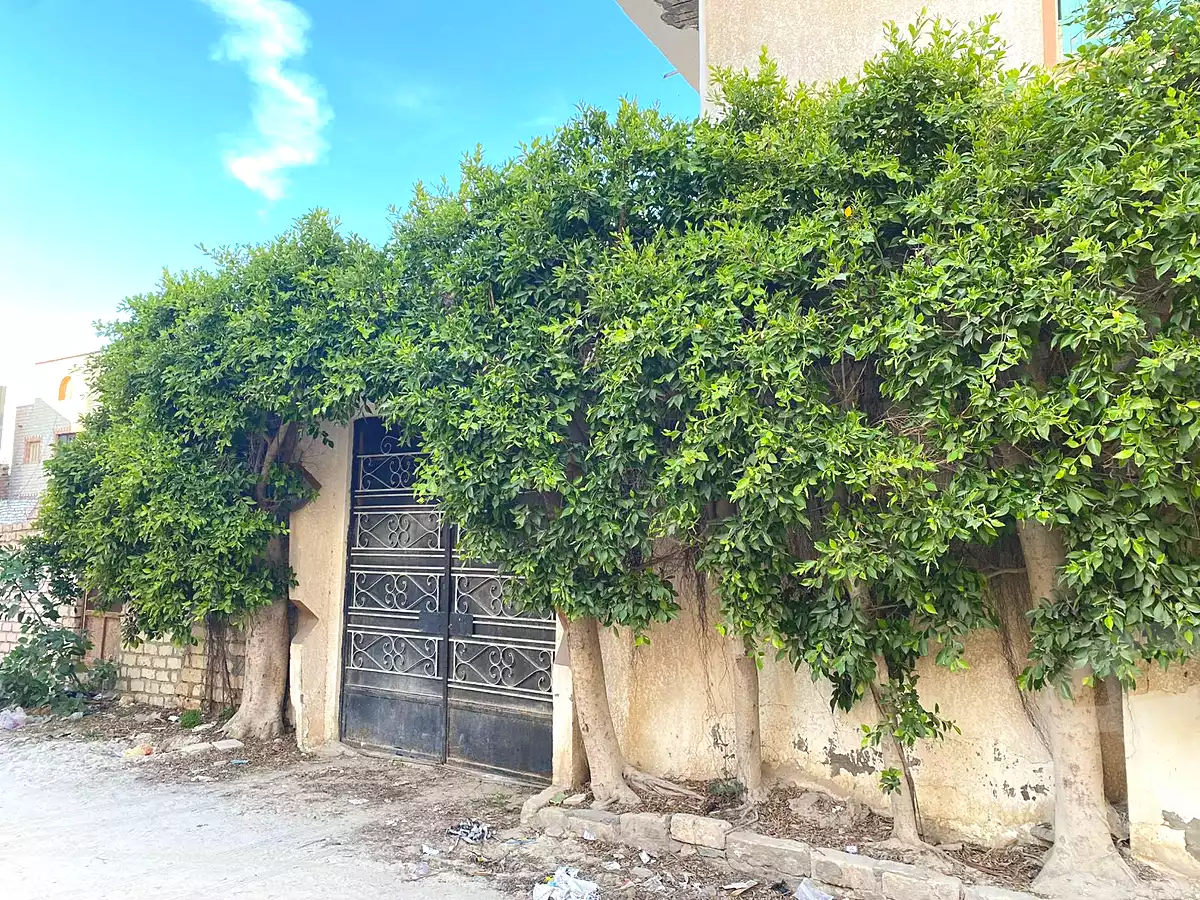 https://aqarmap.com.eg/ar/listing/6655270-for-sale-alexandria-l-jmy-bw-ywsf