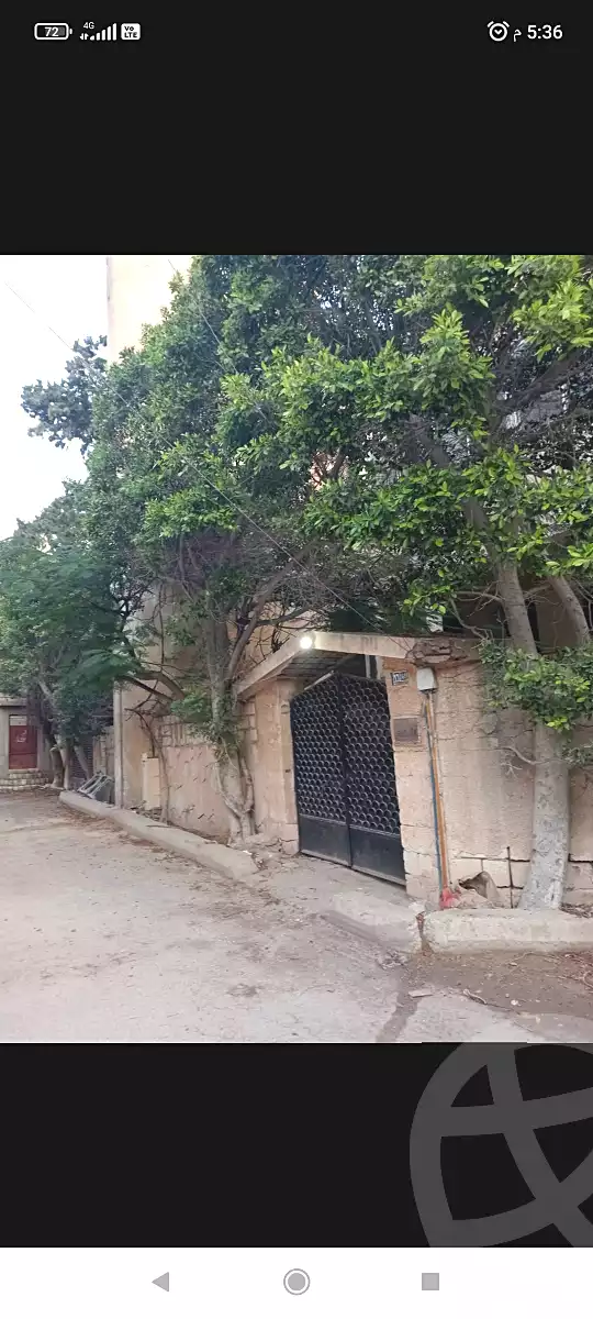 https://aqarmap.com.eg/ar/listing/6656020-for-sale-alexandria-l-jmy-lbytsh-el-hanafeya-st