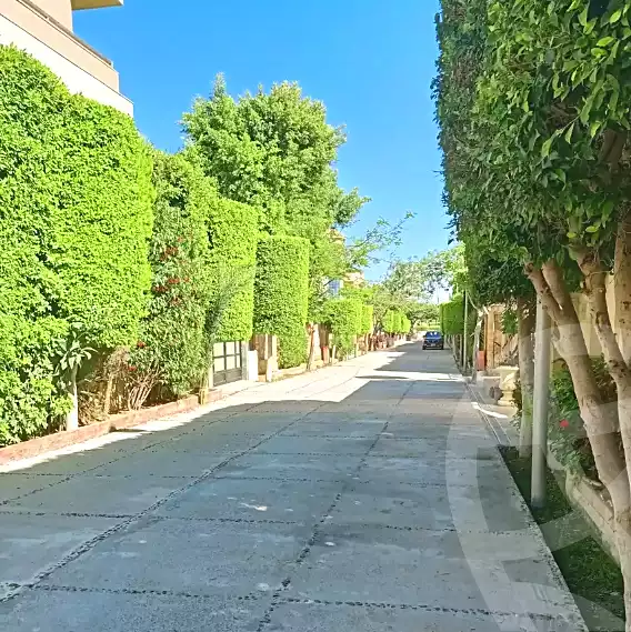 https://aqarmap.com.eg/ar/listing/6656079-for-sale-alexandria-king-maryot-mohamed-rashid-st